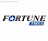 Fortune